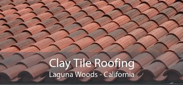 Clay Tile Roofing Laguna Woods - California