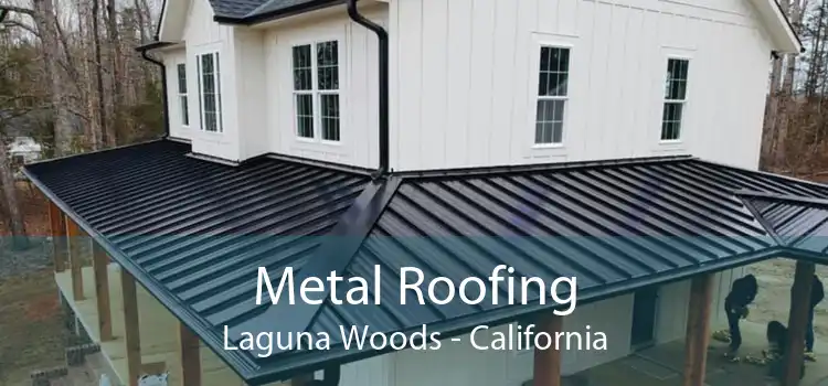 Metal Roofing Laguna Woods - California