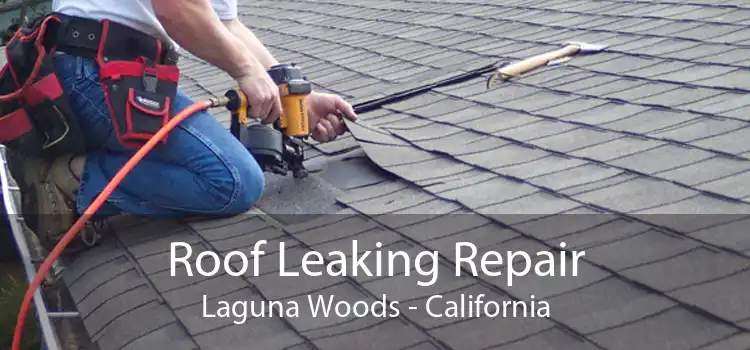 Roof Leaking Repair Laguna Woods - California