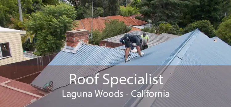 Roof Specialist Laguna Woods - California