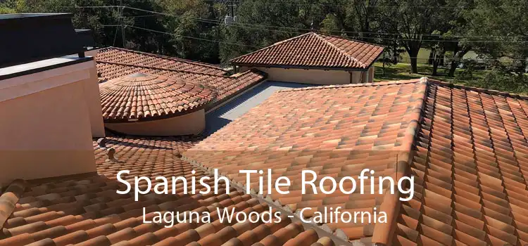 Spanish Tile Roofing Laguna Woods - California