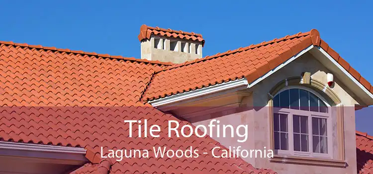 Tile Roofing Laguna Woods - California