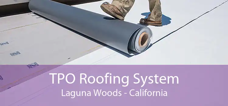 TPO Roofing System Laguna Woods - California