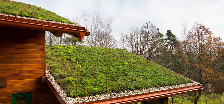 Laguna Woods Residential Green Roof