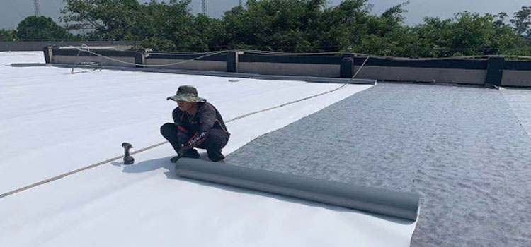 tpo-waterproofing